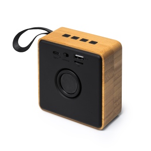 STA Speaker Bemol - Img 2