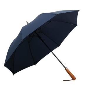 TOP POLKA - Automatic stick umbrella - Img 1