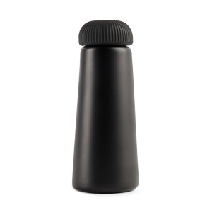 VINGA Erie RCS steel vacuum bottle 450 ML - Img 3