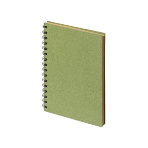 AP™ Blocnotes