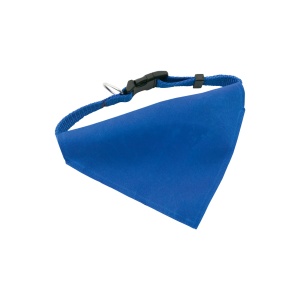 AP™ Zgarda