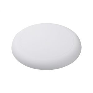AP™ Frisbee