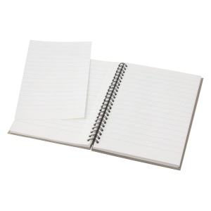 AP™ Blocnotes