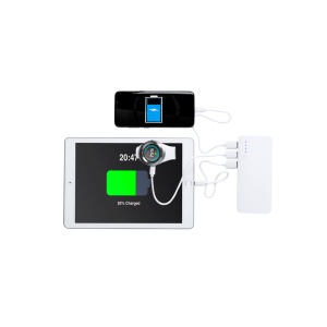 AP™ Power Bank