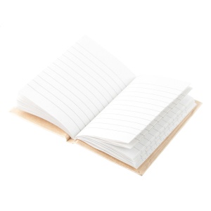 AP Carya - notebook - Img 3
