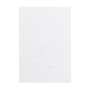 AP CreaStick Seed Combo A - custom sticky notepad - Img 3