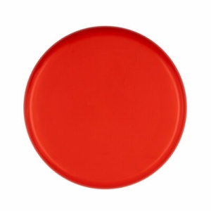 AX™ Frisbee | Eoan - Img 15
