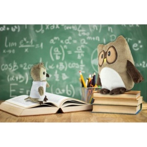 AX Bufniță de pluș, pernă | Professowl
