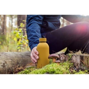 AX Sticlă termos 500 ml | Terryl