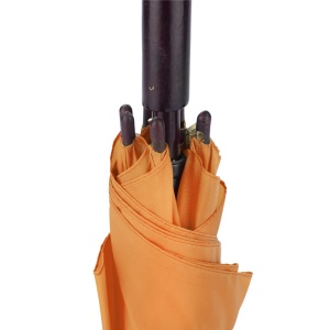 BLUE C™ Umbrella STICK