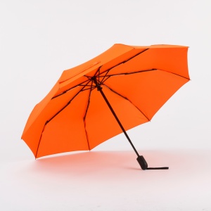 CO Cambridge umbrelă complet automată