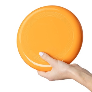Frisbee - Img 12