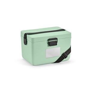 AO Ladă frigorifică Bangkok Cooler 12L din PP. Culori pastelate