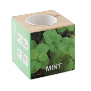 MO MENTA - Ghiveci lemn "MINT"