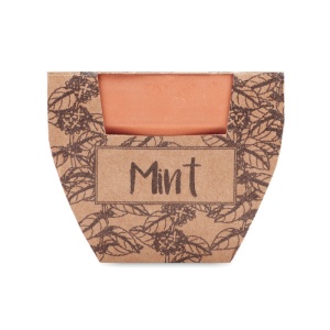 MO MINT POT - Semințe mentă în ghiveci de ter - Img 3