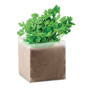 MO PARSELY - Compost cu semințe "PARSLEY"