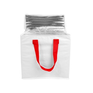 ON Geantă frigorifică din PP laminat 120 g/m2, mânere colorate, închidere cu fermoar - Img 17