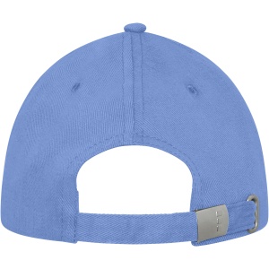 PF™ Darton 6 panel sandwich cap