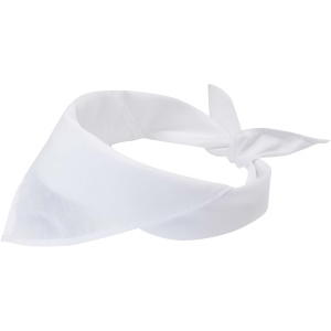 PF™ Heracles bandana