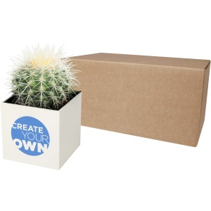 PF™ Hey Pots aluminium planted pot - cactus
