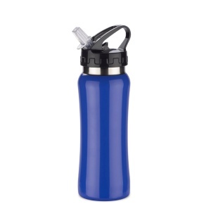 Steel Bidon PATRO 600 ml - Img 1