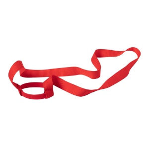 AP™ Lanyard Cu Suport Sticlă