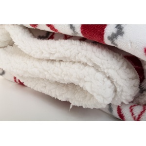 AP Hobborn - RPET Christmas blanket - Img 4