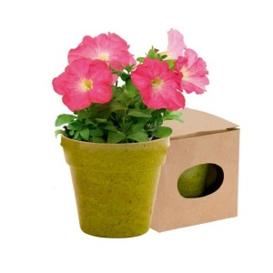 AX™ Flower pot, 5-8 petunia seeds and soil - Img 6