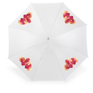 AX™ umbrelă automată - Img 15