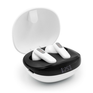 AX ANC wireless earphones | Alden