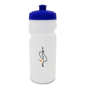 AX Sticlă de apă 500 ml | Ernest