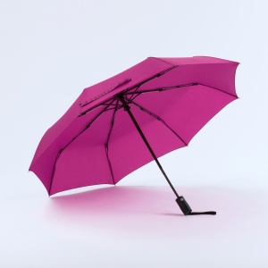 CO Primo Everyday Set: sticlă de apă 550 ml și umbrelă complet automată Harvard