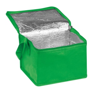 EA Geantă frigorifică non-woven Nieby