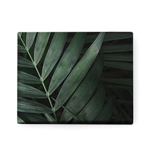 GC Tyvek ecological wallet. 100% made in italy. design "natura"