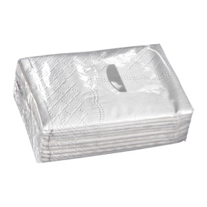 MC 10 pcs handkerchieve 3-fold
