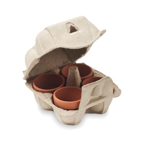 MO CRESS - Egg carton growing kit - Img 2