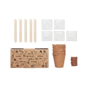 MO FLOWERS - Flowers growing kit - Img 2