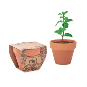 MO MINT POT - Semințe mentă în ghiveci de ter - Img 2
