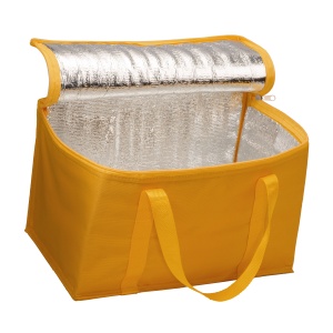 ON™ Cooler bag with silver interior