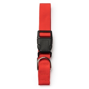 STA™ Korat - Collar - Img 3