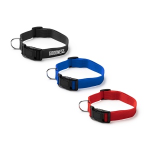 STA Dog Collar - Img 5