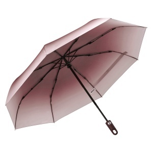 TOP BARONESS Umbrella - BARONESS Umbrella, Automatic open/close windproof pocket umbrella
