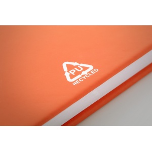 AP™ Caiet Rpu