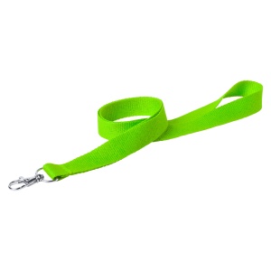 AP™ Lanyard