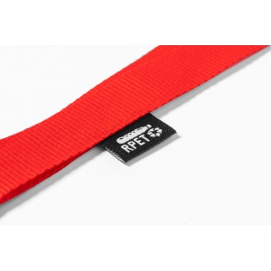AP™ Lanyard