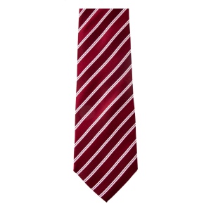 AP Vivonne - necktie - Img 3