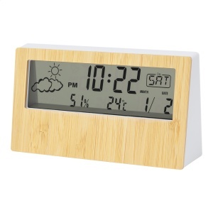AP Zepra - weather station
