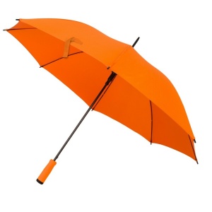 AX™ Automatic umbrella | Dwight - Img 9