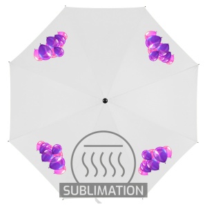 AX™ umbrelă manuală pliabilă - Img 2