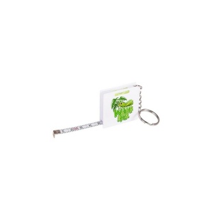 AX Difuzor wireless, radio | Silas